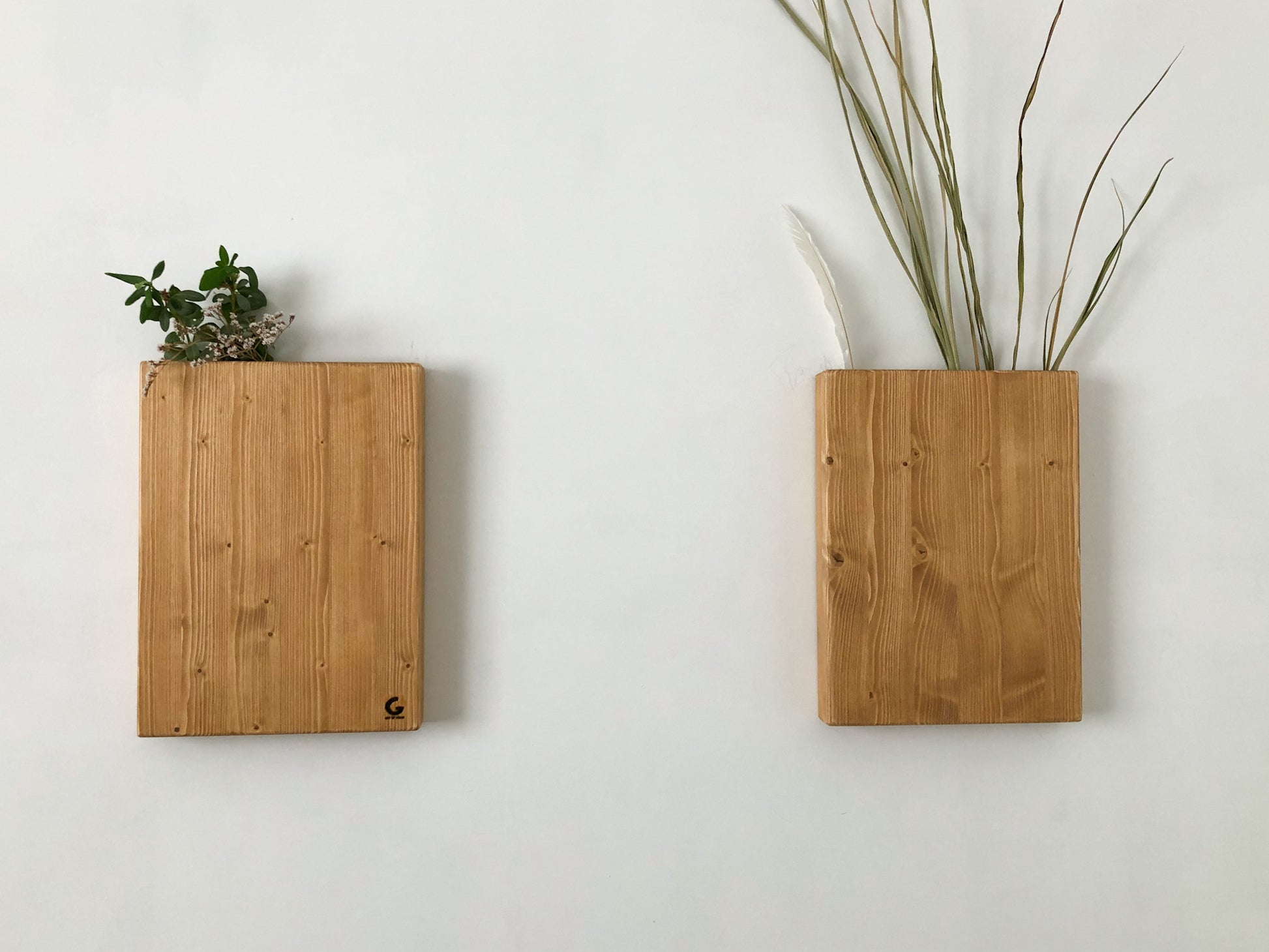 Gift for plant lover