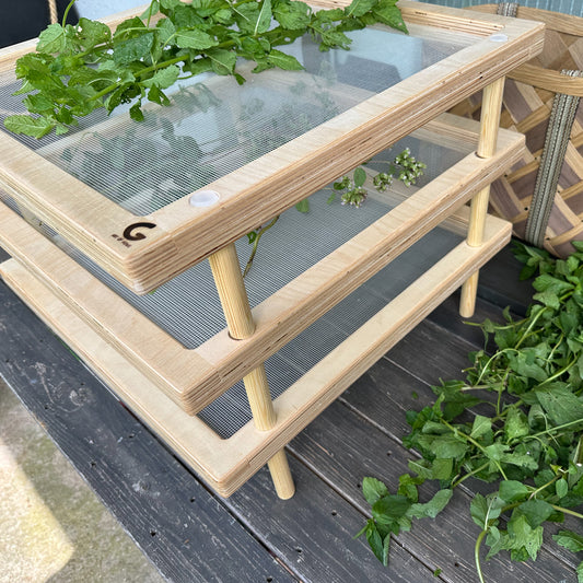 Tea drying rack wood stackable Tea dryer for Healthy lifestyle gift